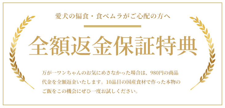 ココグルメ全額返金保証特典