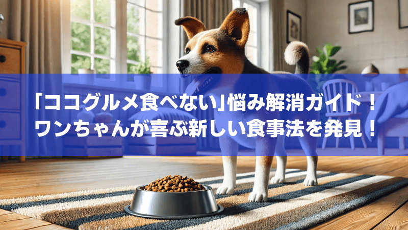 「ココグルメ食べない」悩み解消ガイド！ワンちゃんが喜ぶ新しい食事法を発見！