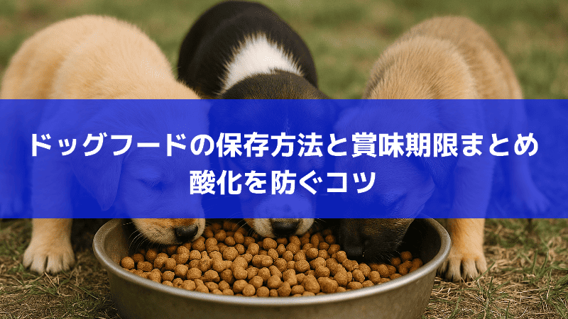 ドッグフードの保存方法と賞味期限まとめ｜酸化を防ぐコツ