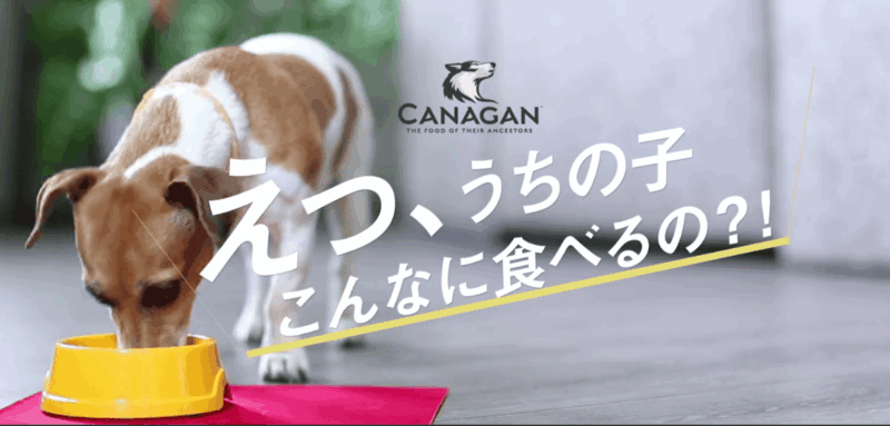 カナガン ドッグフード