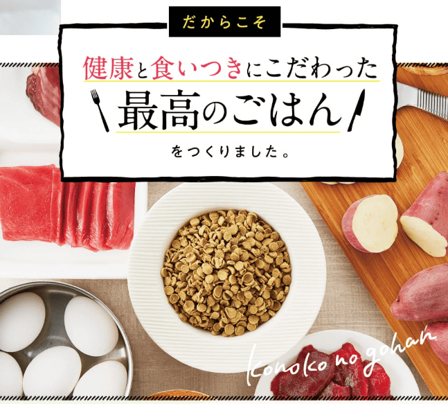 このこのごはん