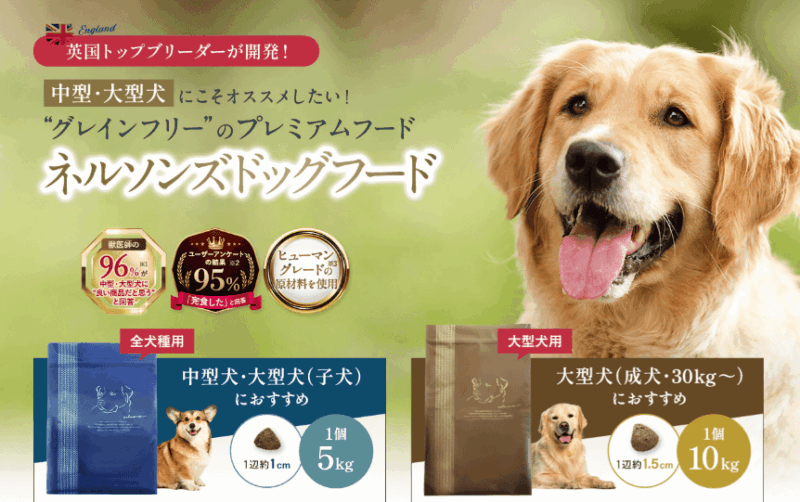 ネルソンズドッグフード