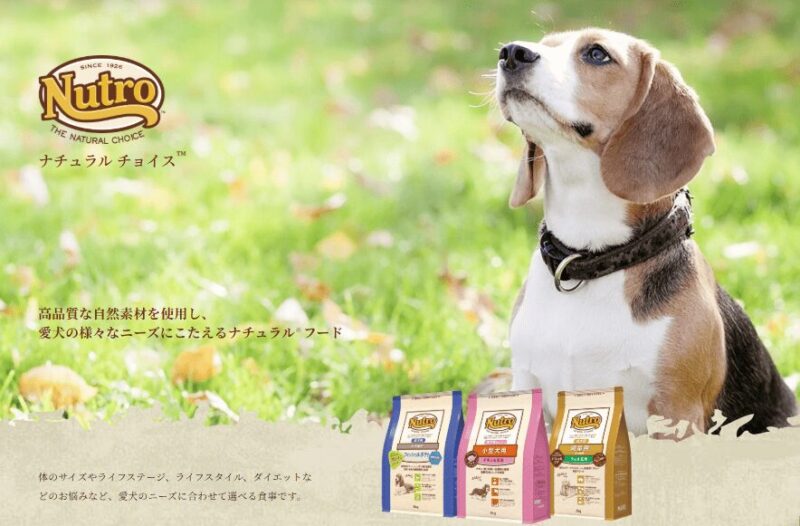 ニュートロ ナチュラルチョイス