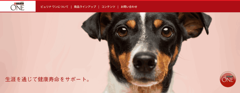 ピュリナ ワン (PURINA ONE)